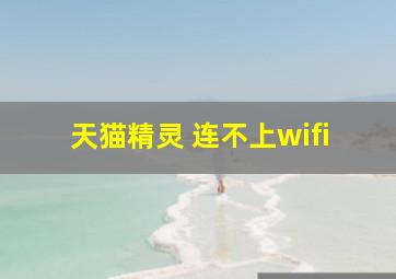 天猫精灵 连不上wifi